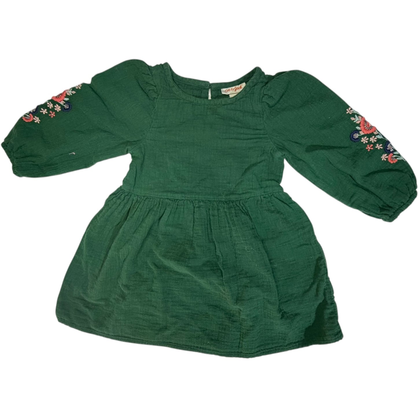 2T | Cat & Jack | Green Floral Long-Sleeve Dress | EUC