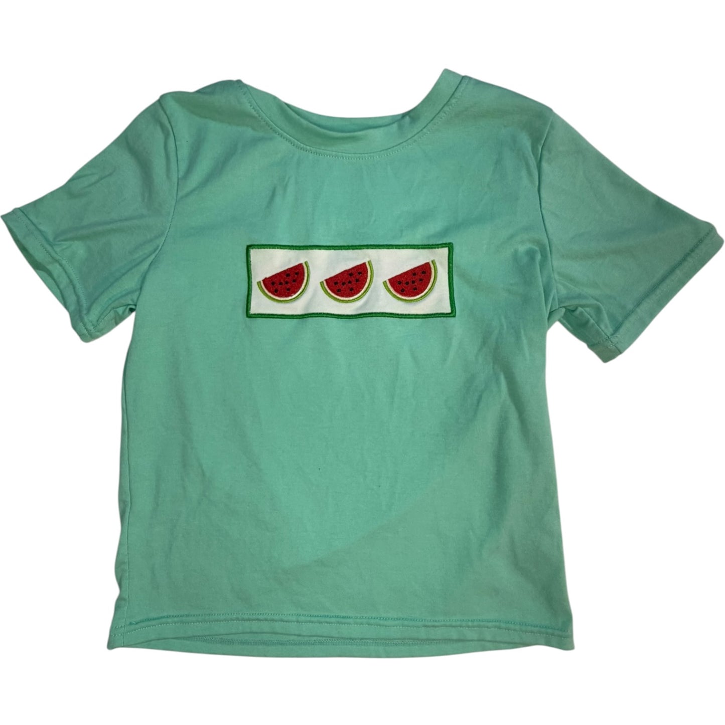 5 | Abby & Evie | Watermelon Applique Shirt and Shorts Set | GUC
